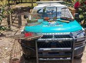 Papagaio, arara e canários-da-terra são resgatados em operação no interior de Alagoas