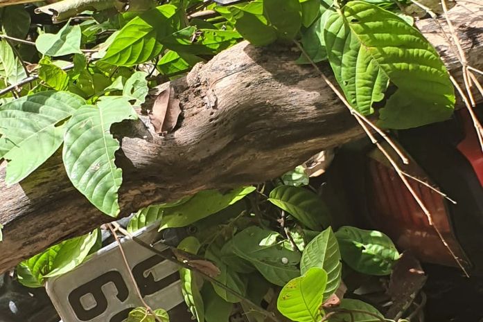 Roubada no domingo (5), moto foi recuperada e entregue ao proprietário nesta segunda (6)