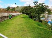 Penedo Mais Verde faz plantio na orla do Barro Vermelho