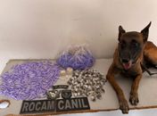 Drogas prontas para venda são apreendidas após suspeito fugir de abordagem no Agreste
