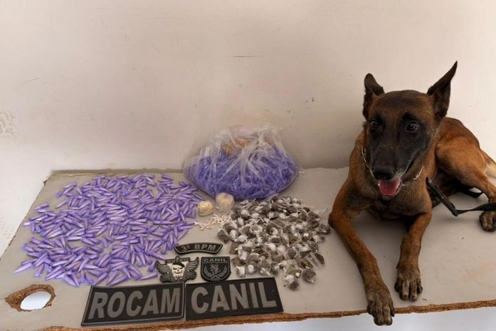 Drogas prontas para venda são apreendidas após suspeito fugir de abordagem no Agreste