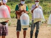 10.000 alevinos entregues aos pequenos produtores rurais