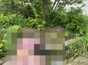 Polícia inicia investigações sobre morte de moradora de rua encontrada com vergalhão no corpo, em Maceió