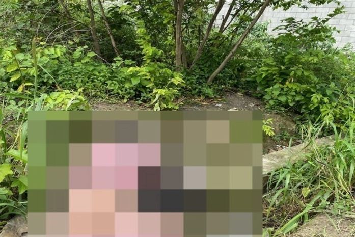 Polícia inicia investigações sobre morte de moradora de rua encontrada com vergalhão no corpo, em Maceió