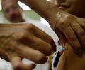 Vacinação de adolescentes de 15 a 19 anos contra o HPV é prorrogada
