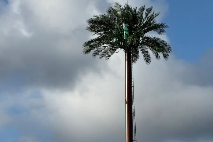 Torre de celular em formato de coqueiro chama atenção na Praia do Patacho