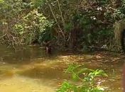 Homem morre afogado em União dos Palmares, nas proximidades da Serra da Barriga 