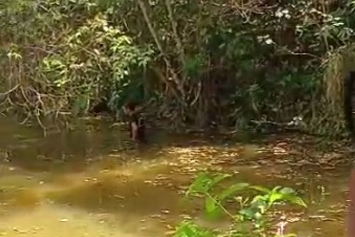 Homem morre afogado em rio de União dos Palmares, na tarde deste feriado