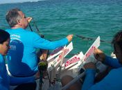 Sinalizações da piscina natural foram depredadas, diz IMA