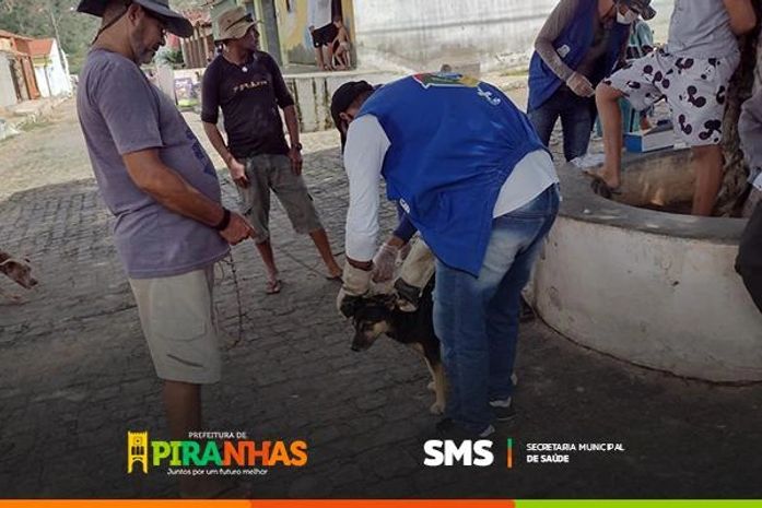 Prefeitura de Piranhas realiza testes rápidos em cães para prevenir calazar