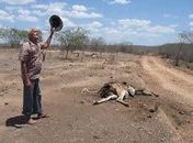 SECA II - Pecuarista Domicio Arruda diz: "a seca tem castigado o sertanejo alagoano"