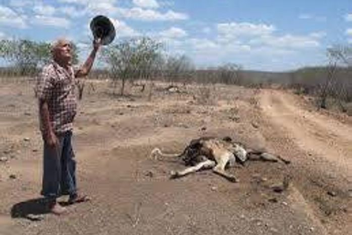 SECA II - Pecuarista Domicio Arruda diz: "a seca tem castigado o sertanejo alagoano"