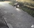 Veja o exato momento em que carro capota e deixa motorista morto em Arapiraca