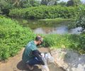 IMA monitora qualidade da água em praias e lagunas de AL; veja relatórios de balneabilidade