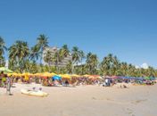 Destino Alagoas se consolida na busca dos turistas durante alta temporada