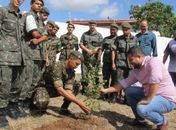 Ação de reflorestamento da área verde vai melhorar a qualidade de vida da população
