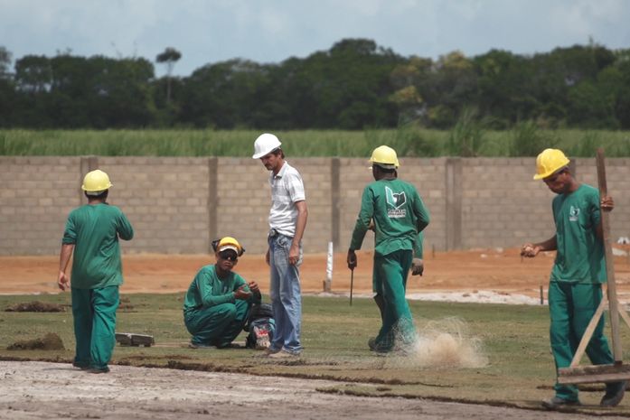 Ninho do Galo: gramados começam a ficar prontos