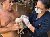 Quinze cães do protetor independente Edvaldo Novaes receberam a visita das equipes do GGI-CA e UVZ. 