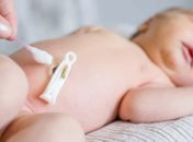 Cordão umbilical