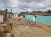 Pavimentação de ruas reduz índices de dengue em Palmeira dos Índios 