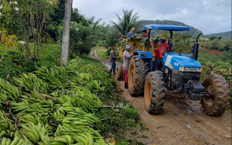 Prefeitura De Santana Do Mundaú Fortalece Apoio Ao Pequeno Produtor 