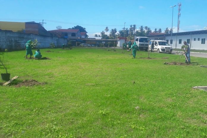 UPA do Trapiche e Prefeitura de Maceió realizam plantio de árvores na área externa da unidade