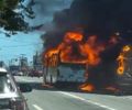 Perícia técnica deve identificar causa de incêndio que destruiu ônibus na Avenida Fernandes Lima; veja vídeos
