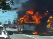 Perícia técnica deve identificar causa de incêndio que destruiu ônibus na Avenida Fernandes Lima; veja vídeos
