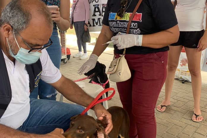 Mais de 50 animais têm novo lar com Feira de Adoção da Prefeitura