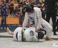 Copa Maria Bonita de Jiu-Jitsu movimentará centenas de mulheres de todo o Brasil no mês de março

