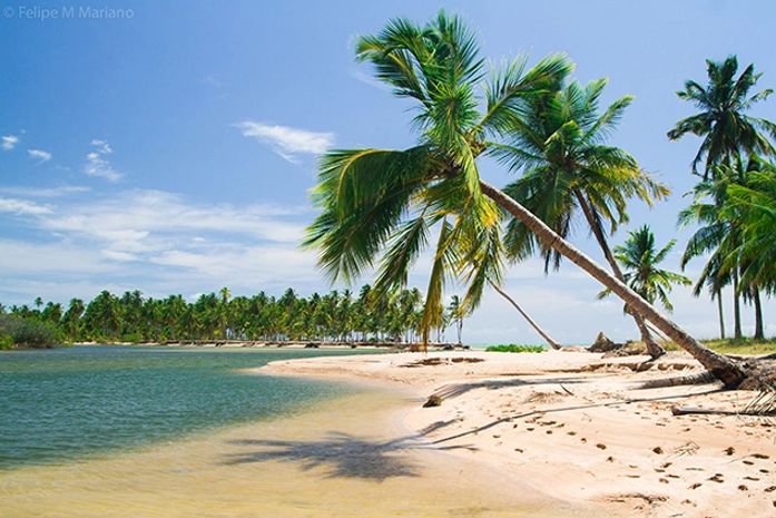 Praia de São Miguel dos Milagres