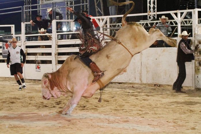 Rodeios e Vaquejadas: Dois pesos e duas medidas?