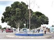 Homem é executado a tiros no centro de Estrela de Alagoas 