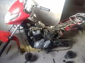 Após denúncias, Guarda Municipal descobre desmanche de motos no Agreste