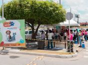 Prefeitura realiza primeira Feira de Adoção de 2022 neste sábado (8)