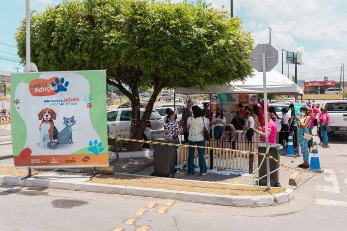 Prefeitura realiza primeira Feira de Adoção de 2022 neste sábado (8)