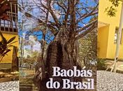 É muito bom saber que o Projeto Baobás está enraizando histórias, para além de Alagoas.- afirma Jó Pereira