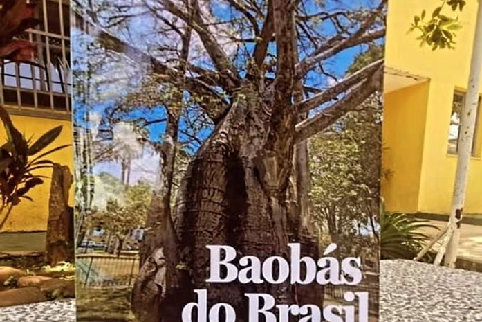 É muito bom saber que o Projeto Baobás está enraizando histórias, para além de Alagoas.- afirma Jó Pereira