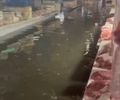 Alagamento no Mercado da Produção causa transtornos e afasta clientes após forte chuva em Maceió
