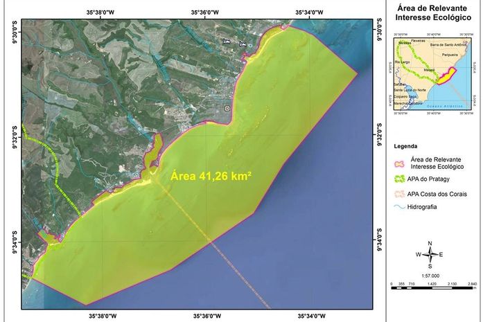 Projeto que protege tartarugas em Alagoas vence edital da SOS Mata Atlântica
