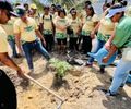 Projeto de arborização da Prefeitura de Maceió inicia 3ª etapa nesta quinta (13), no Vergel
