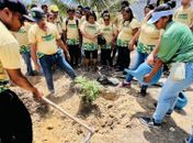 Projeto de arborização da Prefeitura de Maceió inicia 3ª etapa nesta quinta (13), no Vergel
