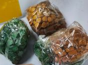 Droga foi apreendida