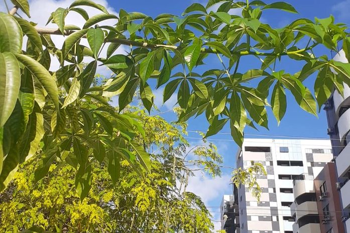 Essa ativista conhece gente muito legal, no bairro em que mora. Empatia. Proximidade