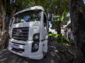 Rua das Árvores: serviço de arborização iniciado no último domingo (21) será concluído na próxima semana