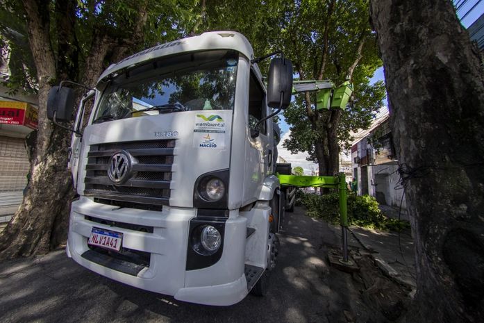 Rua das Árvores: serviço de arborização iniciado no último domingo (21) será concluído na próxima semana