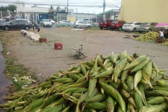 Prefeitura define local para venda de milho no Jacintinho