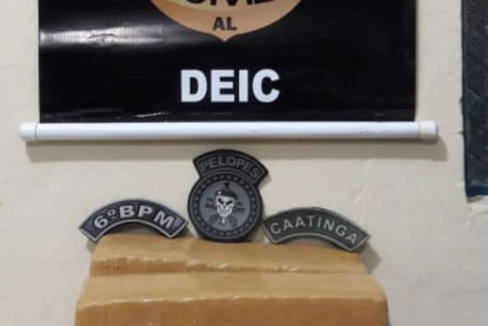 Mulher transportava 11 tabletes de maconha dentro de uma mochila.