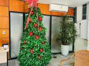 Autarquia de Limpeza Urbana recicla mais de 1.400 garrafas PET em decoração natalina