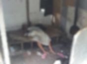 Mulher é encontrada morta dentro de barraco no bairro da Levada